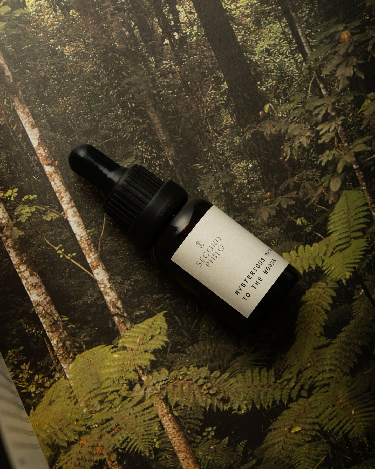 Mysterious path to the woods: Aromatic oil 15ml